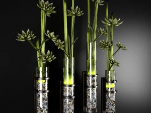 decor plant 3D Model