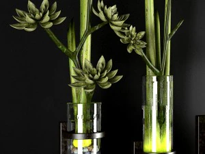decor plant 3D Model