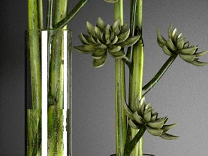 decor plant 3D Model