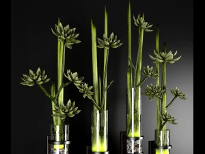 decor plant 3D Model