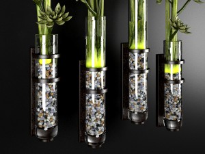 decor plant 3Dモデル