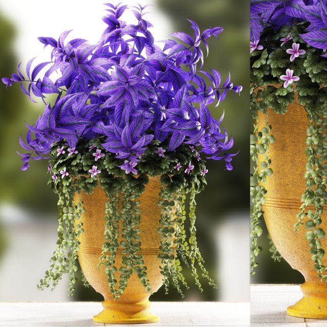 plants 56 3D Model .c4d .max .obj .3ds .fbx .stl .blend 