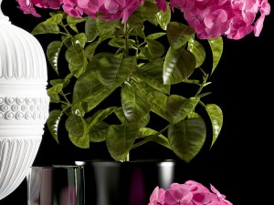 flower vase set 3 3D Модель