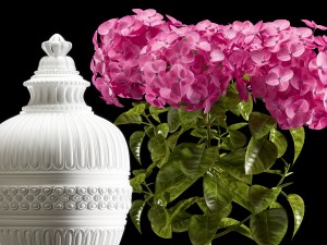 flower vase set 3 3D Модель