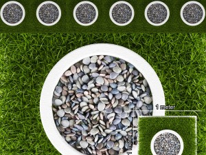 grass and pebbles 3D Model