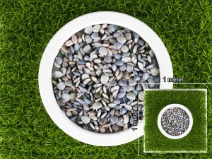 grass and pebbles 3D Model