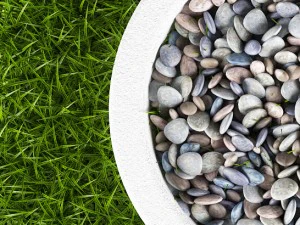 grass and pebbles 3D Model