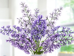 lavender dew 3D Model