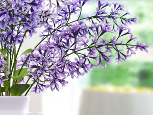 lavender dew 3D Model