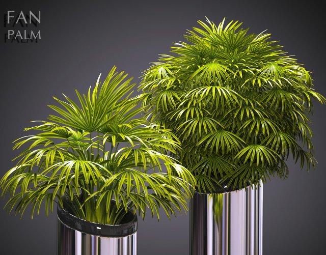 plant 53 3D Model .c4d .max .obj .3ds .fbx .stl .blend 