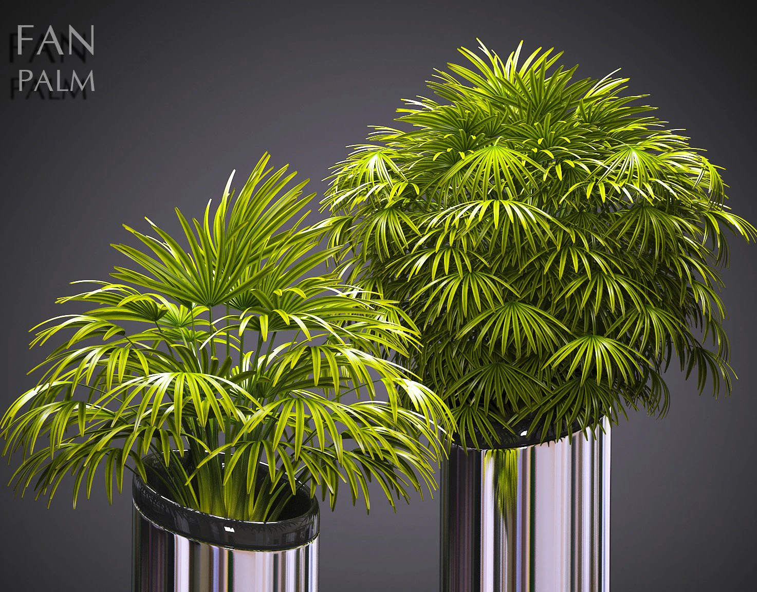 plant 53 3D Model .c4d .max .obj .3ds .fbx .stl .blend 