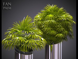 plant 53 3D Model