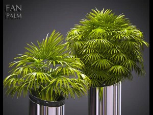 plante 53 Modèle 3D