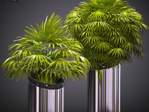 plant 53 3D Model