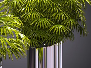 plant 53 3D Model