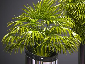 plant 53 3D Model