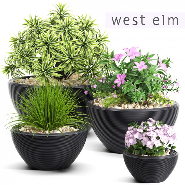 plants set 54 3D-Modell .c4d .max .obj .3ds .fbx .stl .blend 