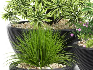 plants set 54 3D Model