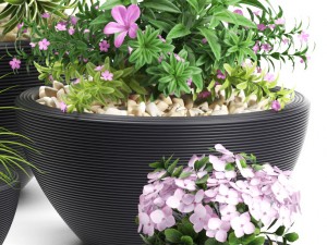 plants set 54 3D-Modell