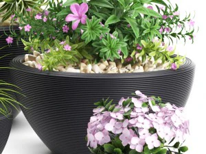 plants set 54 3D Model