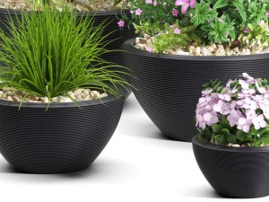 plants set 54 3D Model