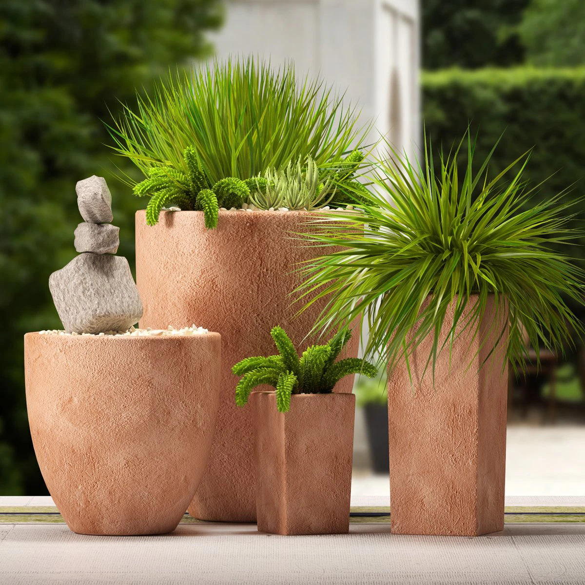 plants 55 3D Model .c4d .max .obj .3ds .fbx .stl .blend