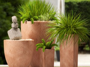 plants 55 3D Model