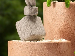 plants 55 3D Model