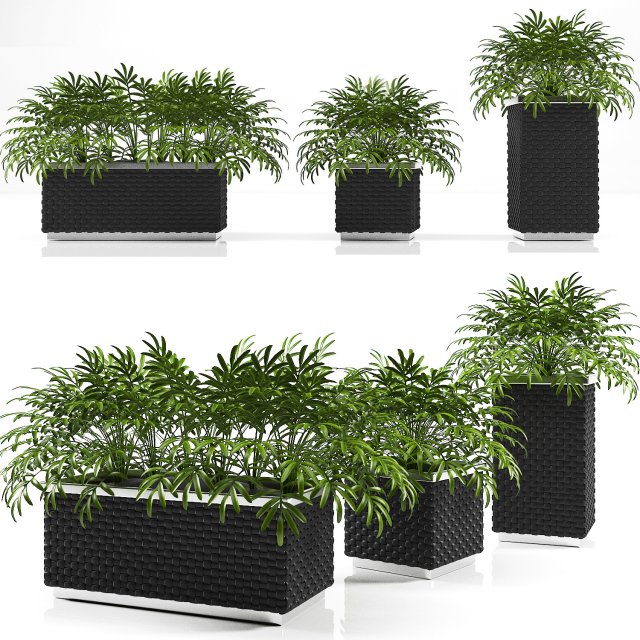 planter box 1 3D Model .c4d .max .obj .3ds .fbx .stl .blend 