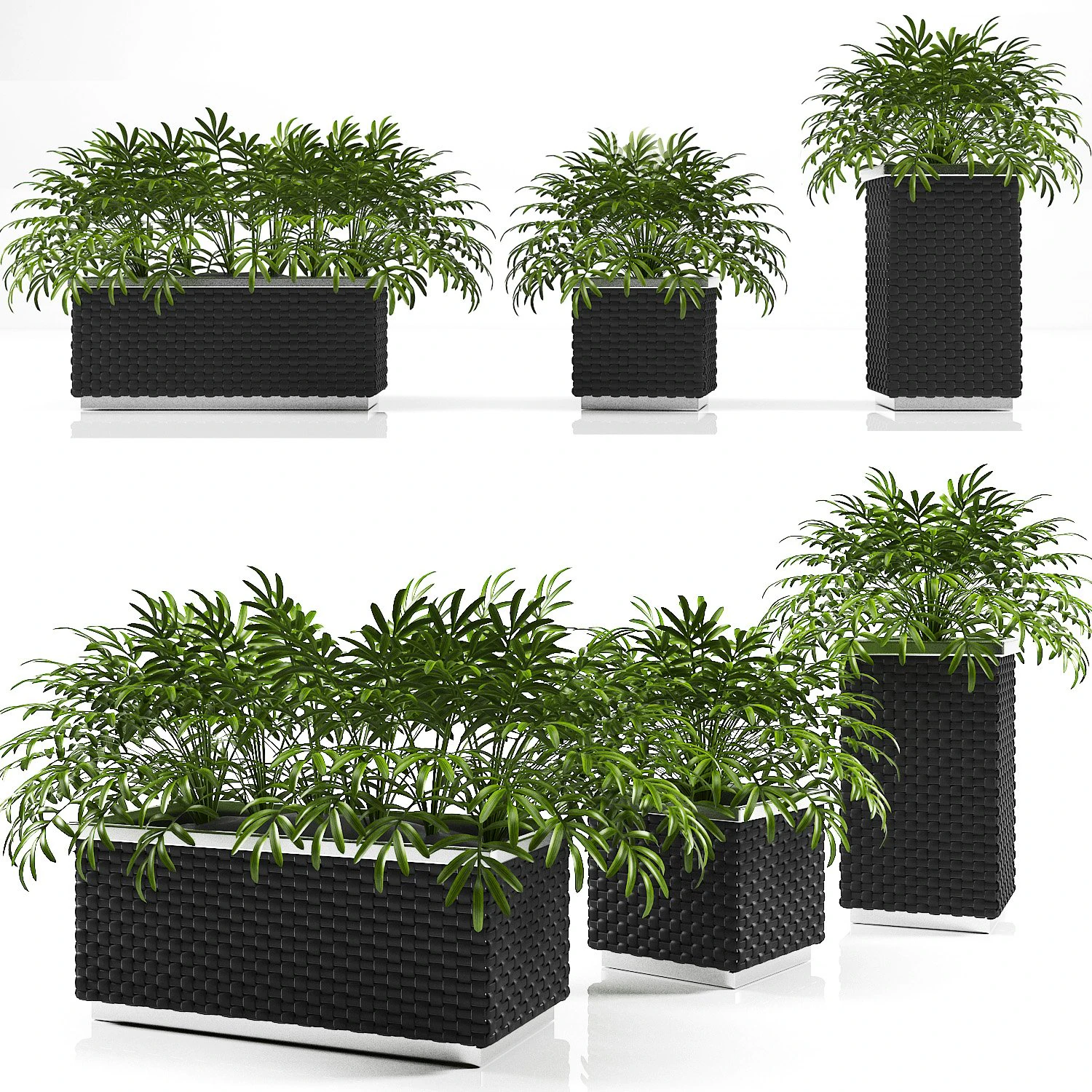 planter box 1 3D Model .c4d .max .obj .3ds .fbx .stl .blend 