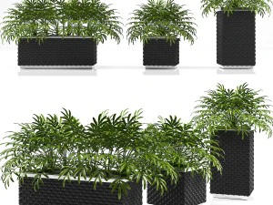 화분 상자 1 3D 모델