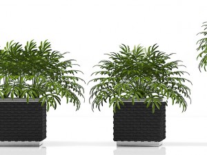 planter box 1 3D Model