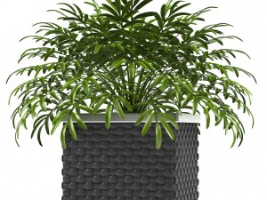 planter box 1 3D Model