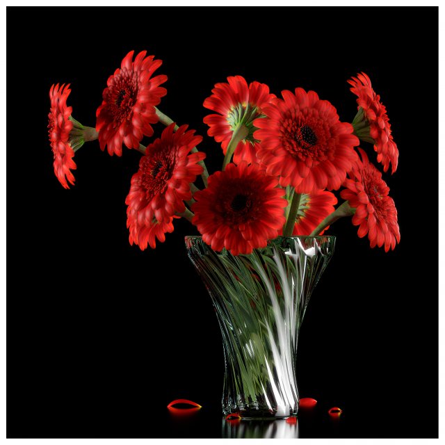 red gerbera 3D 모델 .c4d .max .obj .3ds .fbx .stl .blend 