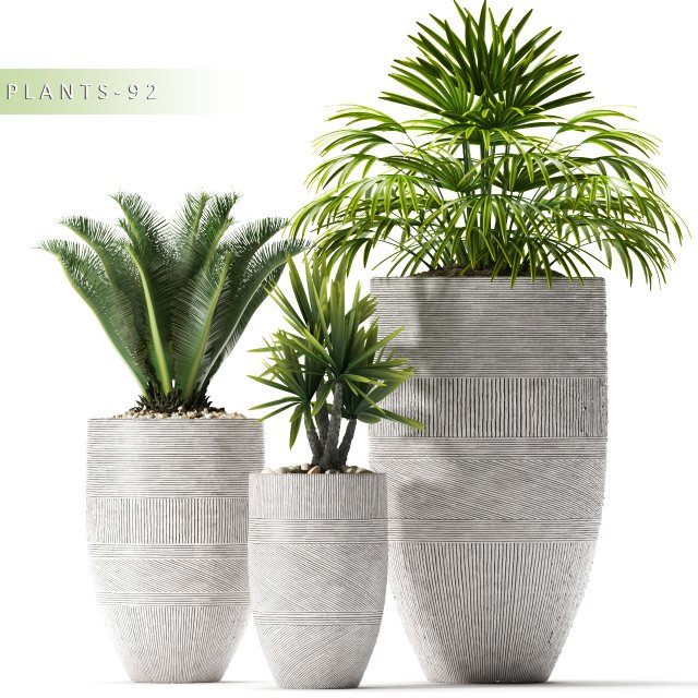plants 92 Modello 3D .c4d .max .obj .3ds .fbx .stl .blend 