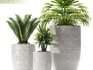 plants 92 3Dモデル