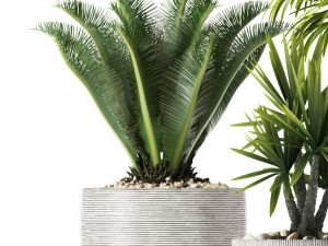 plants 92 Modello 3D
