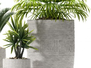 plants 92 Modello 3D