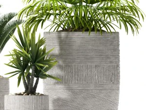 plants 92 3D Model