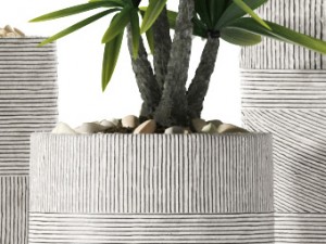 plants 92 Modello 3D