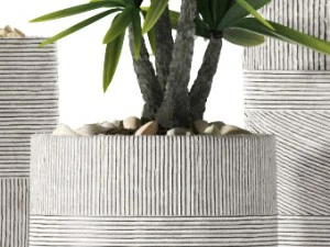 plants 92 3D Model