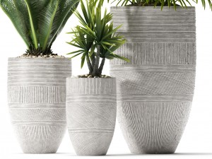 plants 92 Modello 3D