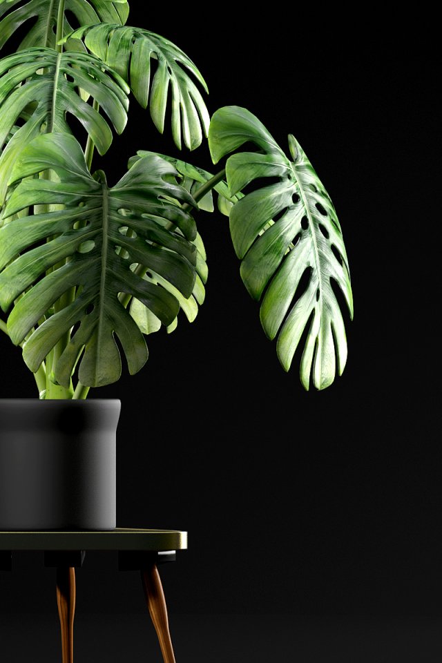 plants 50 Modelo 3D .c4d .max .obj .3ds .fbx .stl .blend