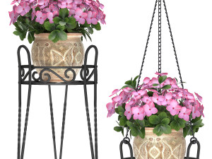 plants 51 3D Model