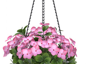 plants 51 Modelo 3D