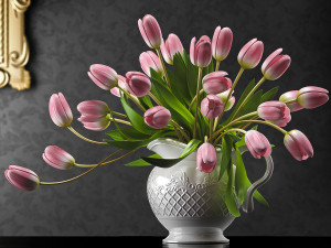 tulip 6 3D Model