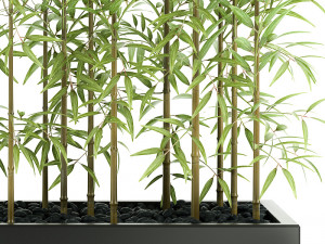 plants 49 3D 모델