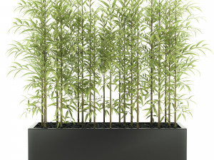 plants 49 Model 3D