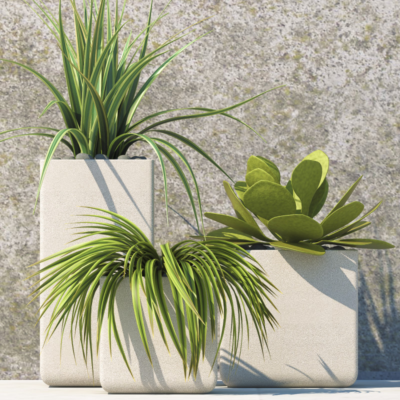 PLANTS 60 3D Модель .c4d .max .obj .3ds .fbx .stl .blend 