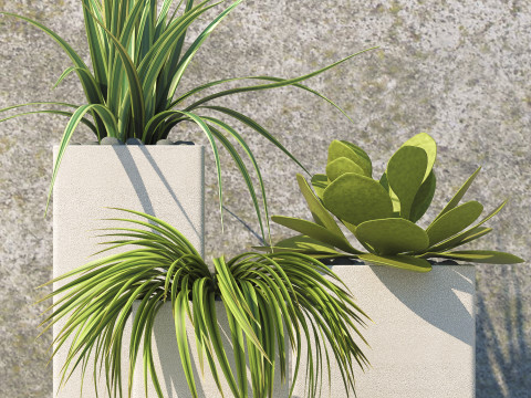 PLANTS 60 3D Model
